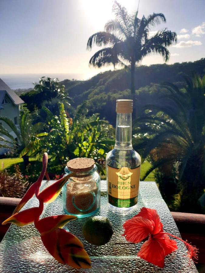 Gite 4 Etoiles, La Vieille Sucrerie St Claude Guadeloupe, Jacuzzi Spa Privatif, Vue Exceptionnelle Sur La Mer Des Caraibes Basse Terre Bagian luar foto