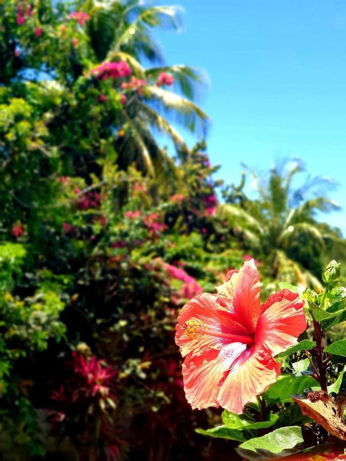 Gite 4 Etoiles, La Vieille Sucrerie St Claude Guadeloupe, Jacuzzi Spa Privatif, Vue Exceptionnelle Sur La Mer Des Caraibes Basse Terre Bagian luar foto