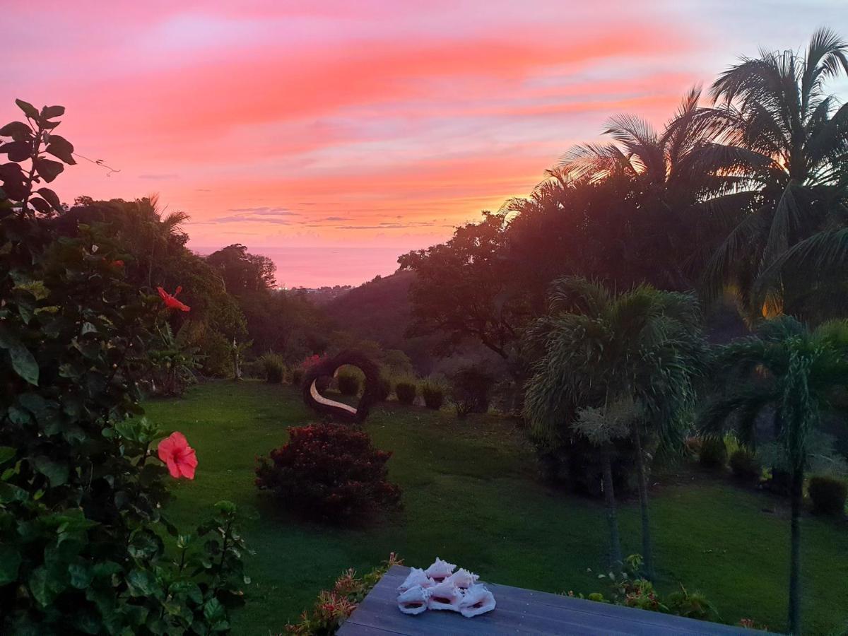 Gite 4 Etoiles, La Vieille Sucrerie St Claude Guadeloupe, Jacuzzi Spa Privatif, Vue Exceptionnelle Sur La Mer Des Caraibes Basse Terre Bagian luar foto