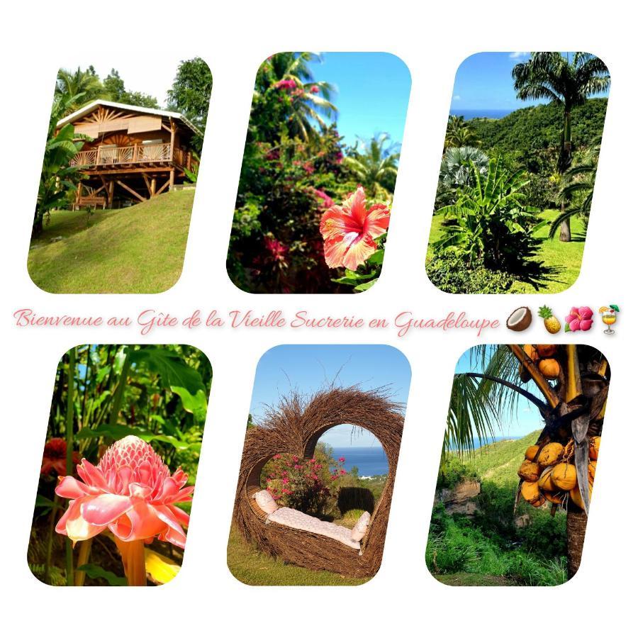 Gite 4 Etoiles, La Vieille Sucrerie St Claude Guadeloupe, Jacuzzi Spa Privatif, Vue Exceptionnelle Sur La Mer Des Caraibes Basse Terre Bagian luar foto