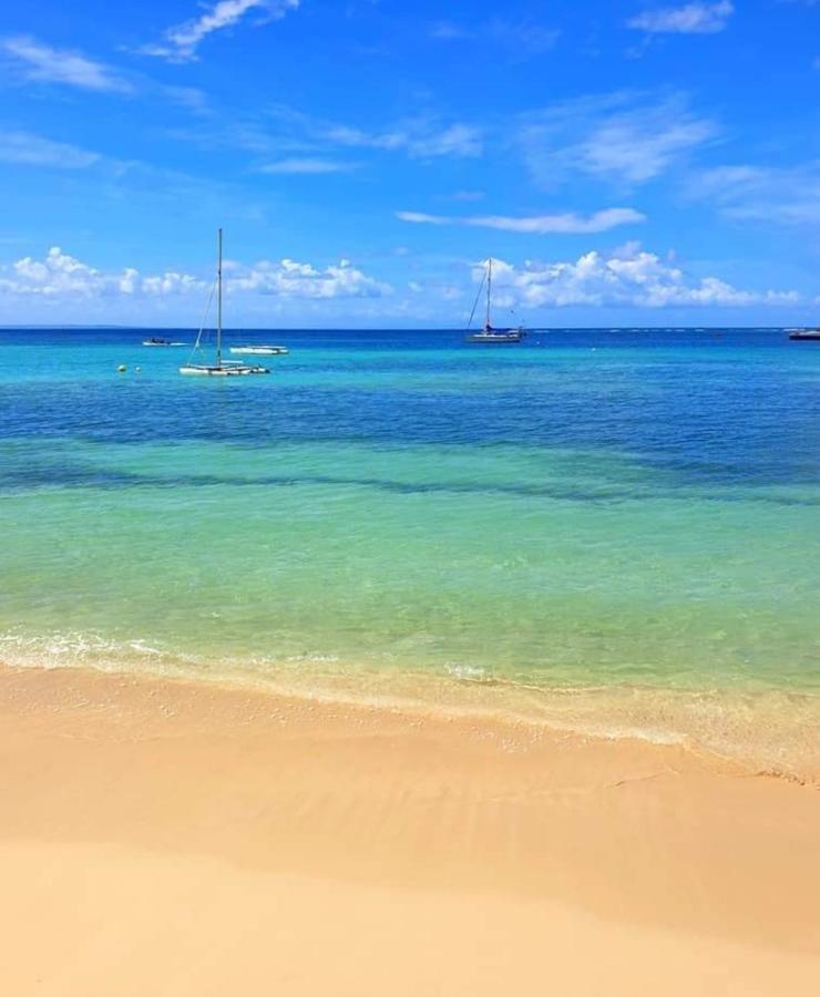 Gite 4 Etoiles, La Vieille Sucrerie St Claude Guadeloupe, Jacuzzi Spa Privatif, Vue Exceptionnelle Sur La Mer Des Caraibes Basse Terre Bagian luar foto