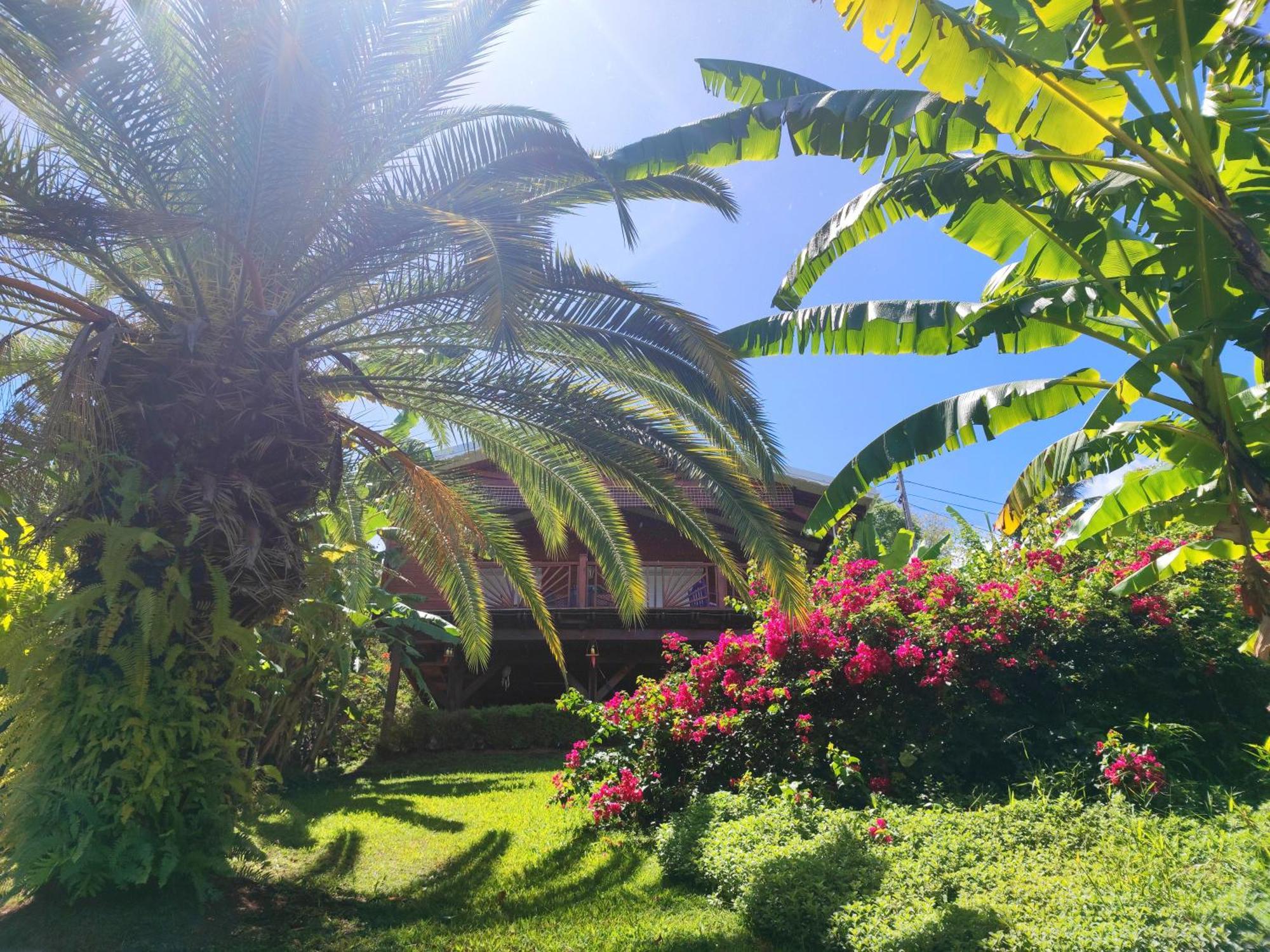 Gite 4 Etoiles, La Vieille Sucrerie St Claude Guadeloupe, Jacuzzi Spa Privatif, Vue Exceptionnelle Sur La Mer Des Caraibes Basse Terre Bagian luar foto
