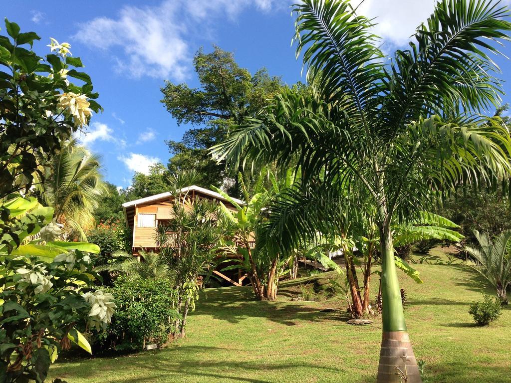 Gite 4 Etoiles, La Vieille Sucrerie St Claude Guadeloupe, Jacuzzi Spa Privatif, Vue Exceptionnelle Sur La Mer Des Caraibes Basse Terre Bagian luar foto